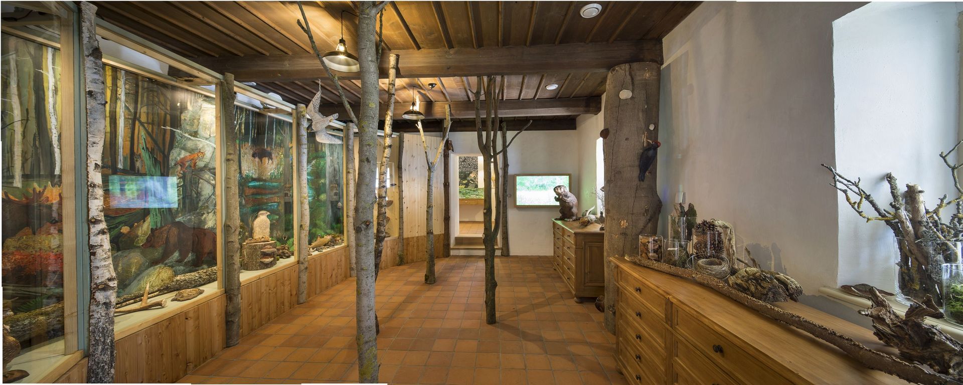 ​​House of Nature in Žďárské vrchy, Krátká